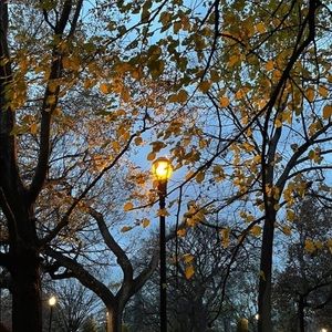 Meet your Posher, Mya